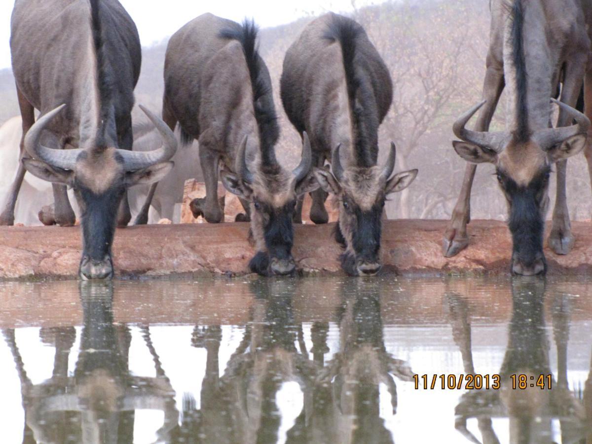 Okutala Etosha Lodge Outjo Kültér fotó