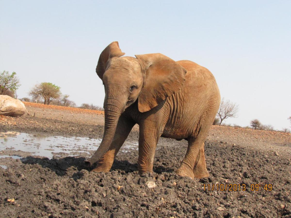 Okutala Etosha Lodge Outjo Kültér fotó