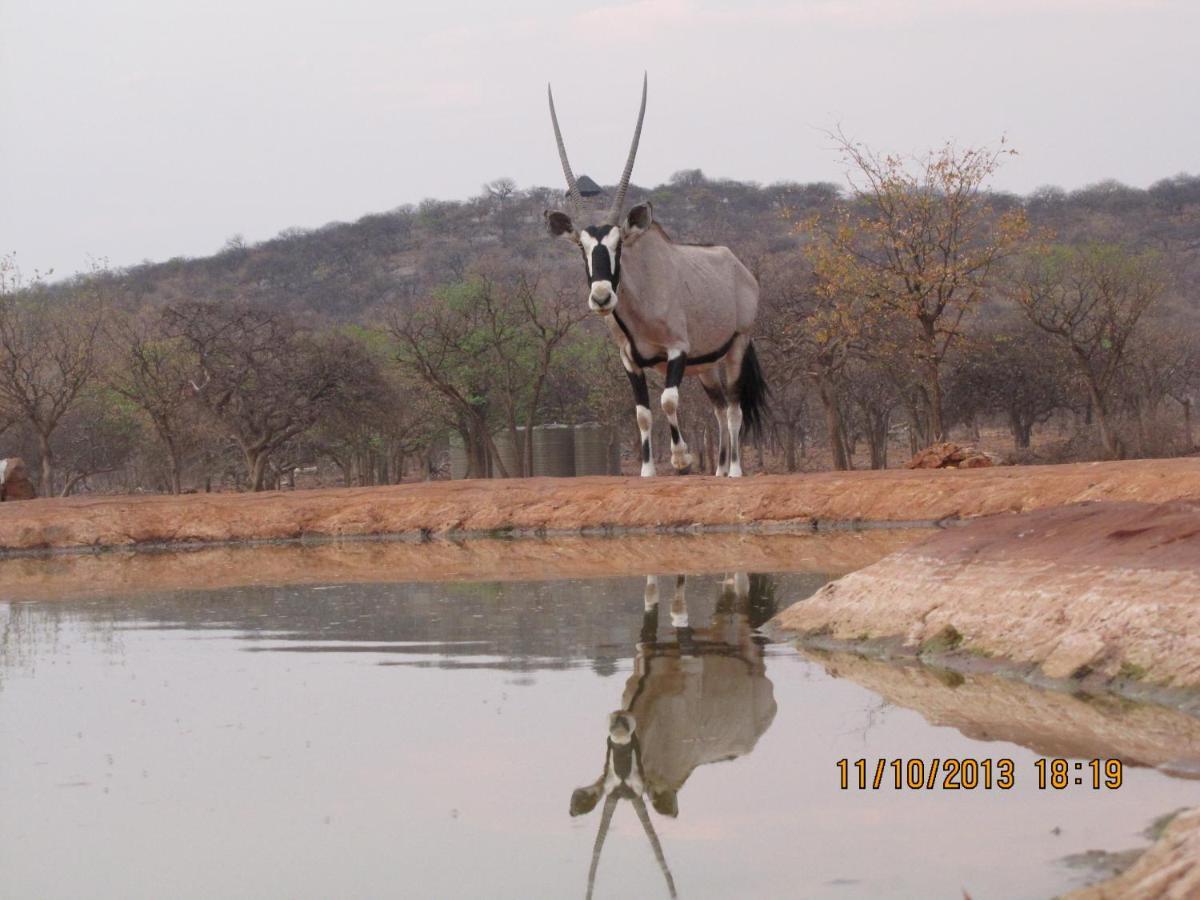 Okutala Etosha Lodge Outjo Kültér fotó